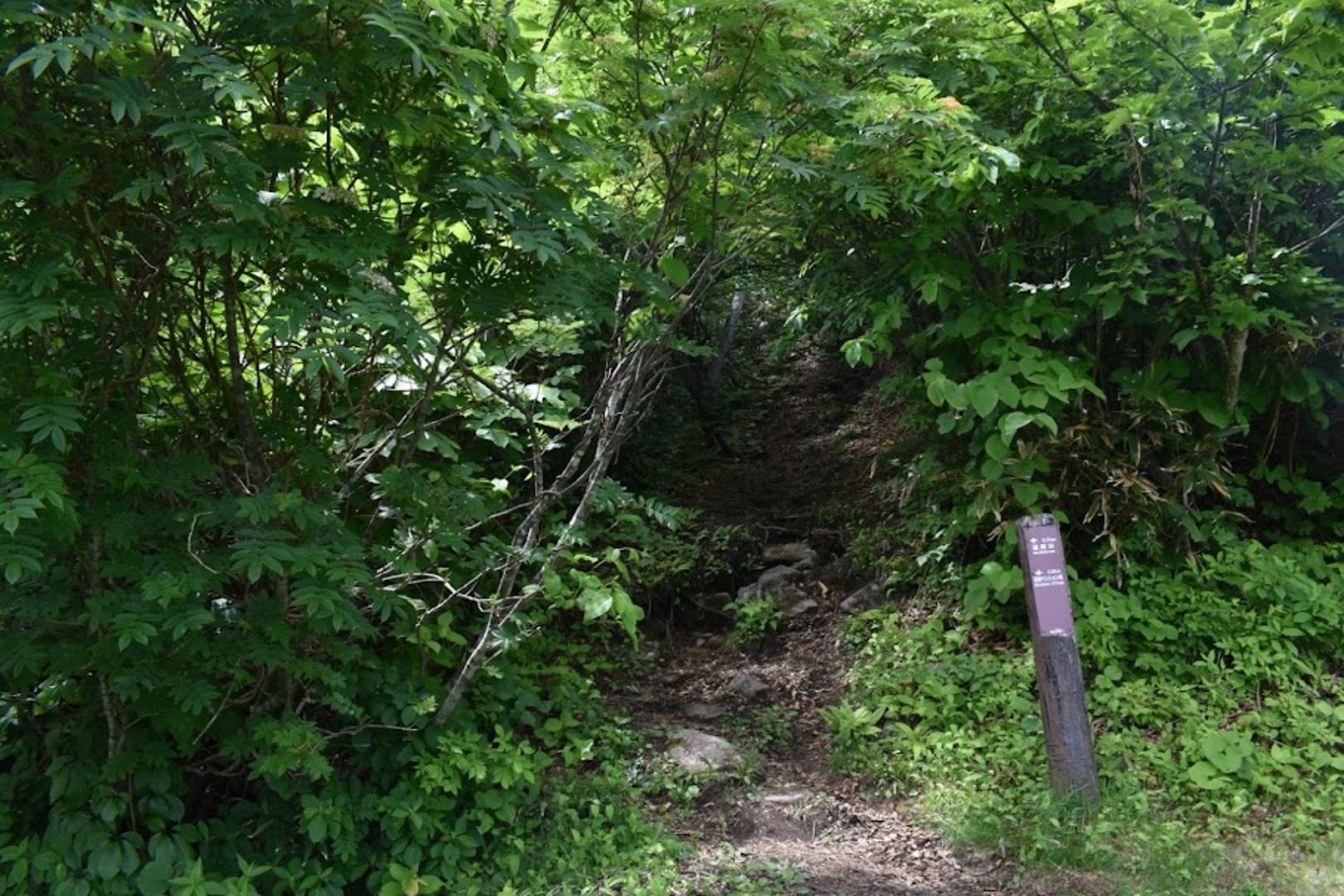 斑尾山