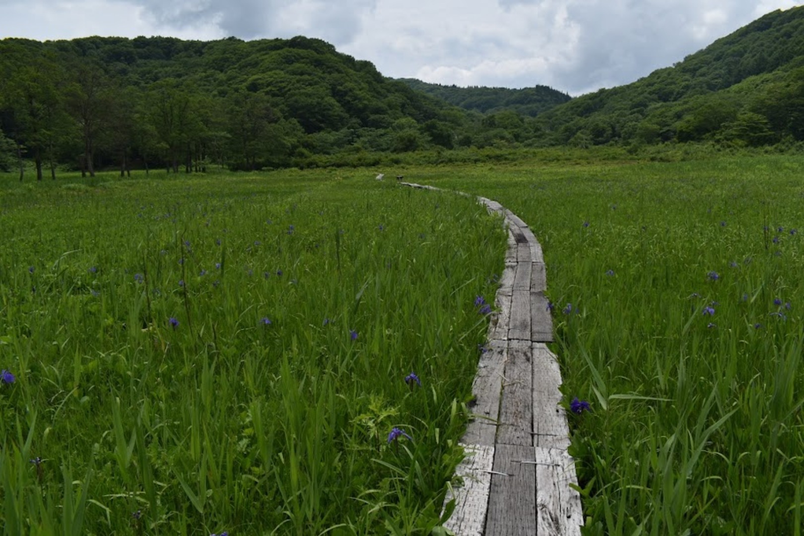 斑尾山