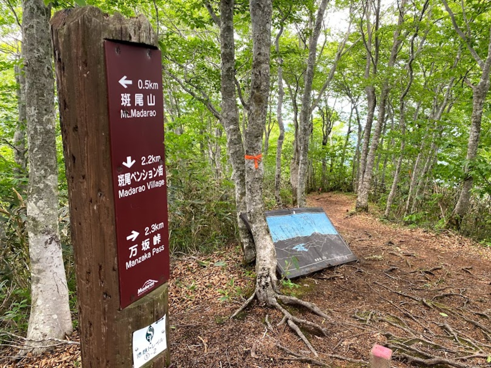 斑尾山