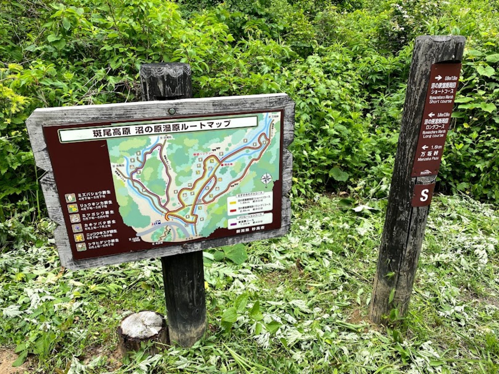 斑尾山