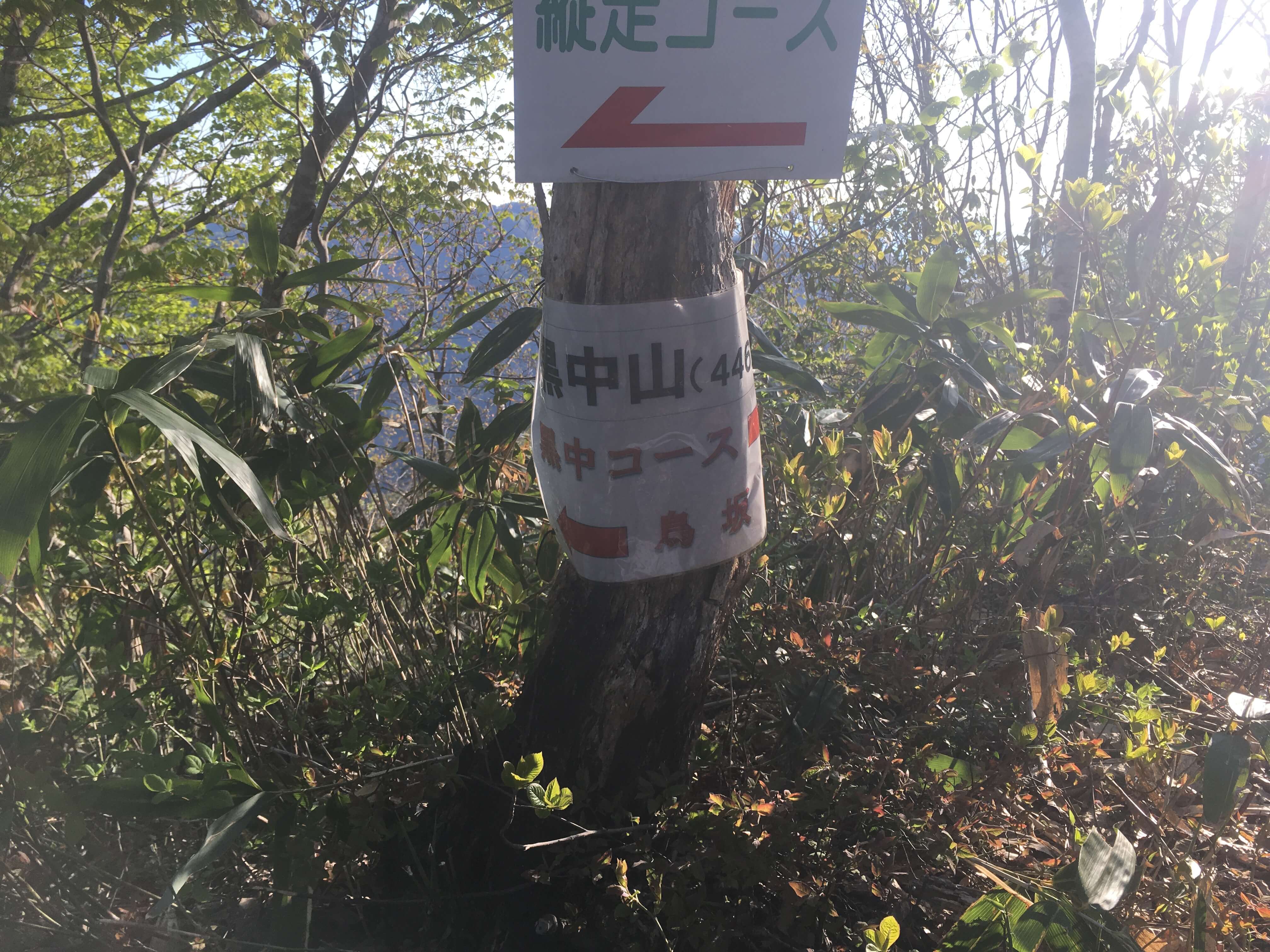 櫛形山
