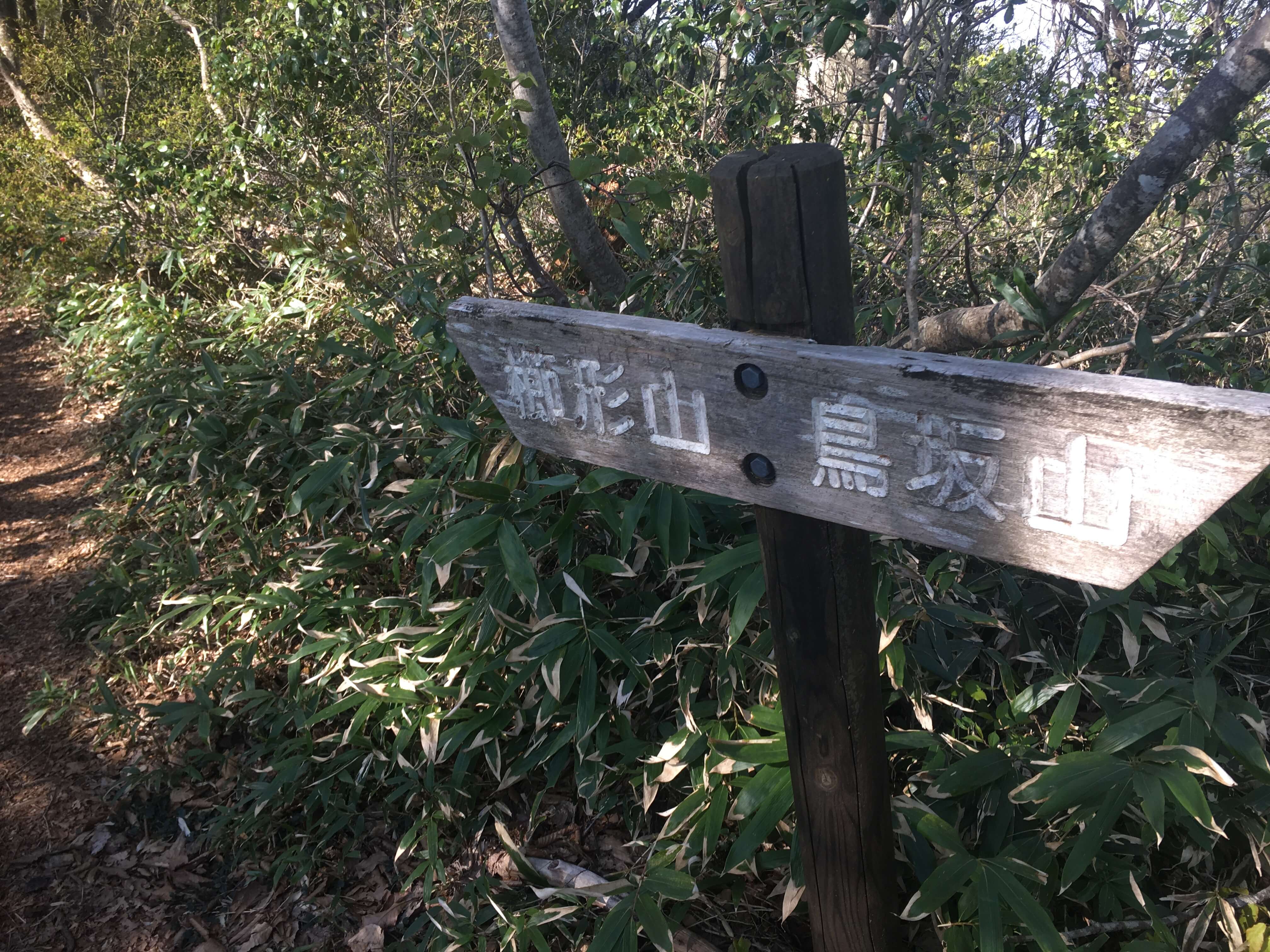 櫛形山