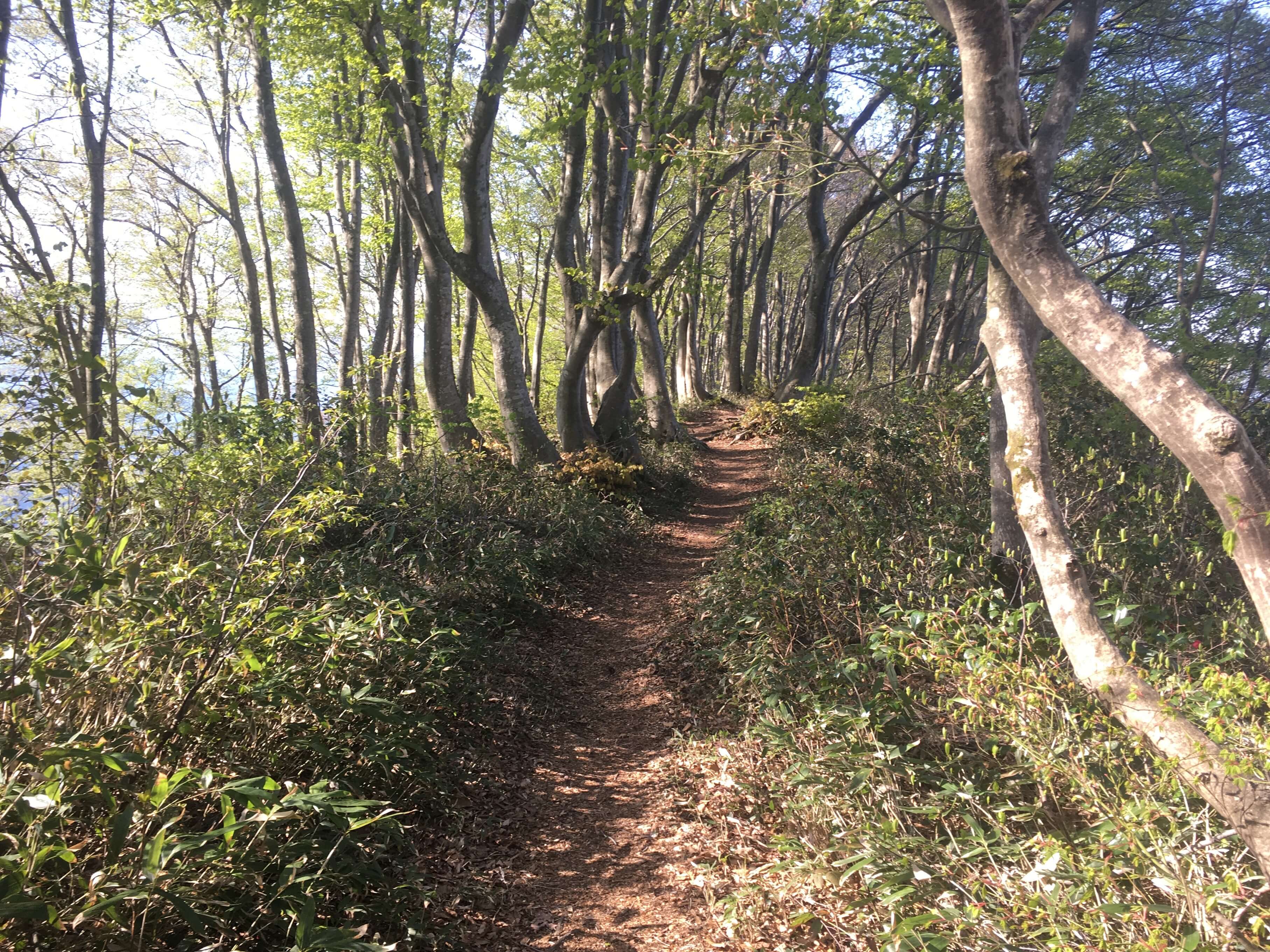 櫛形山