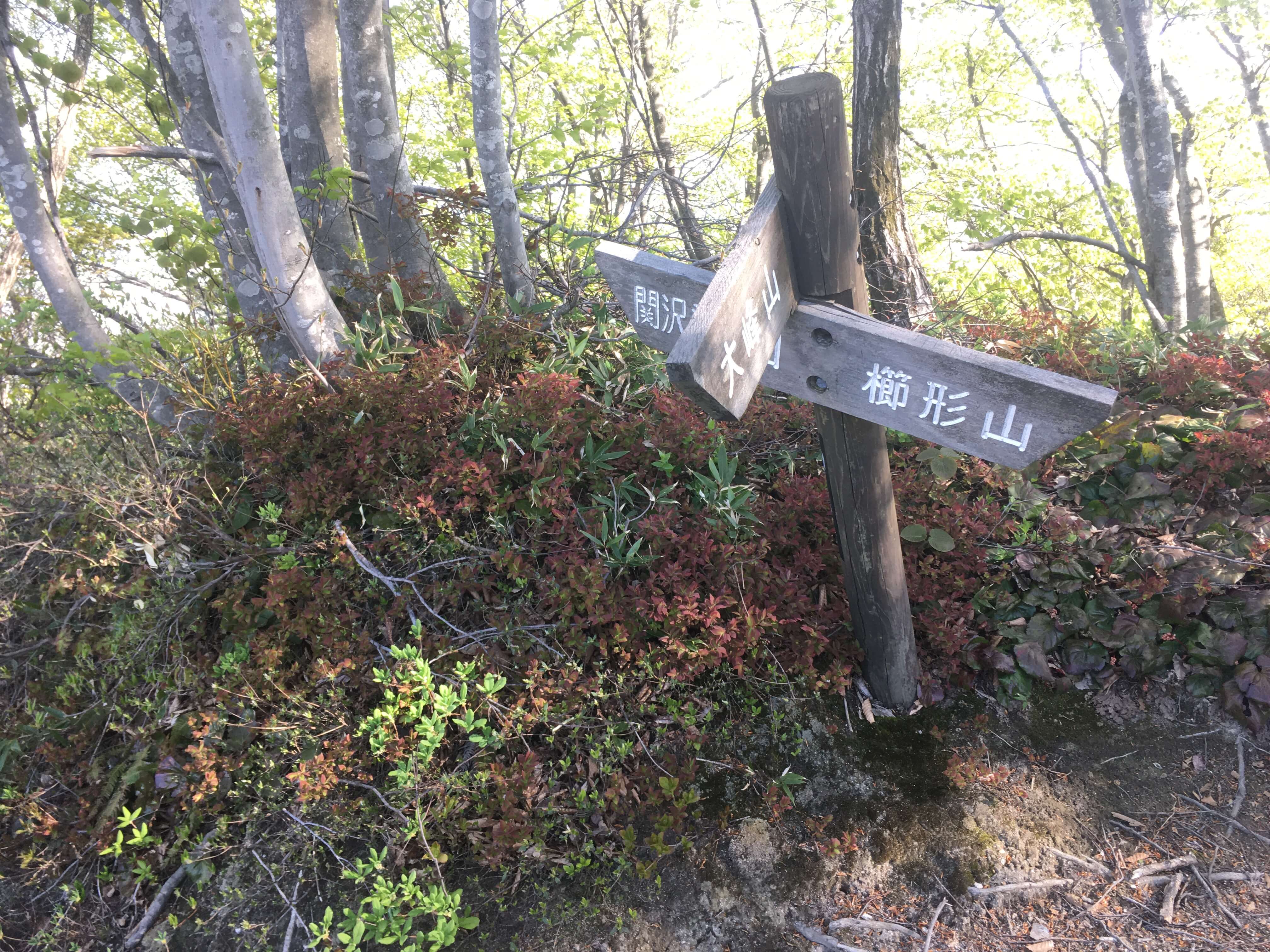 櫛形山