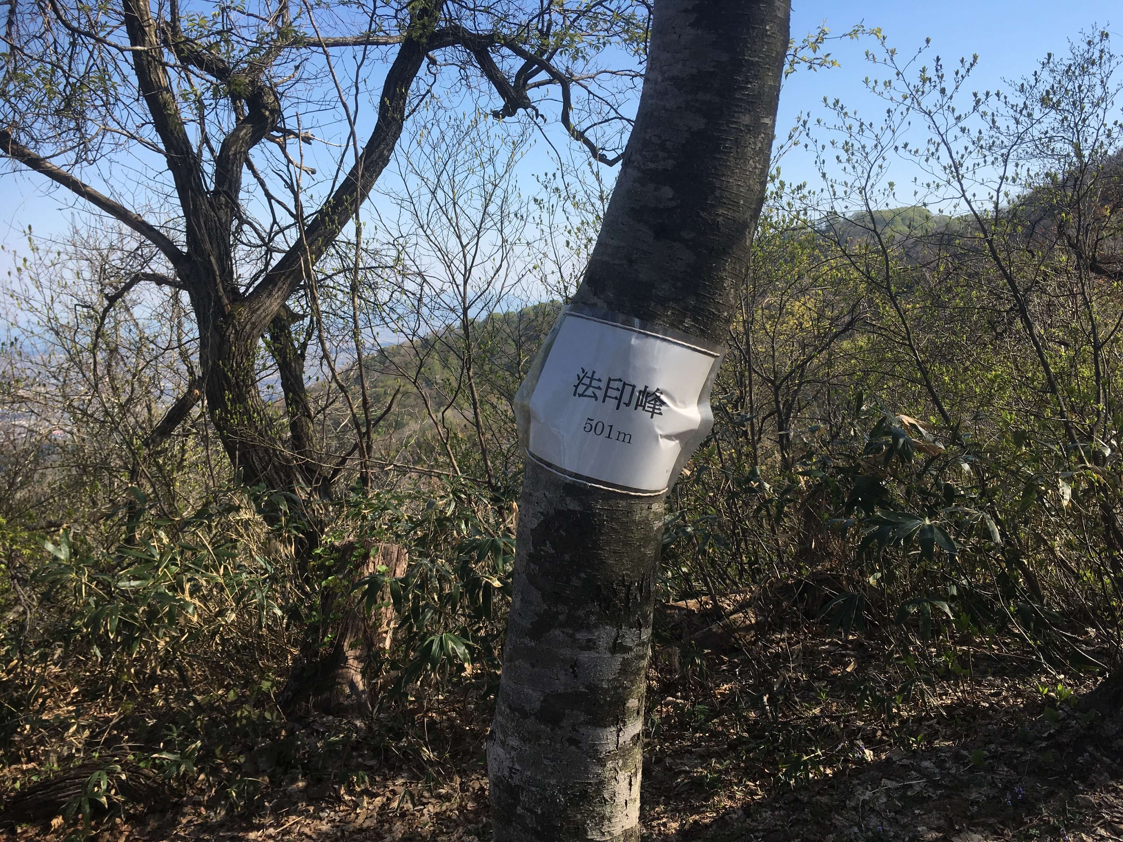 櫛形山