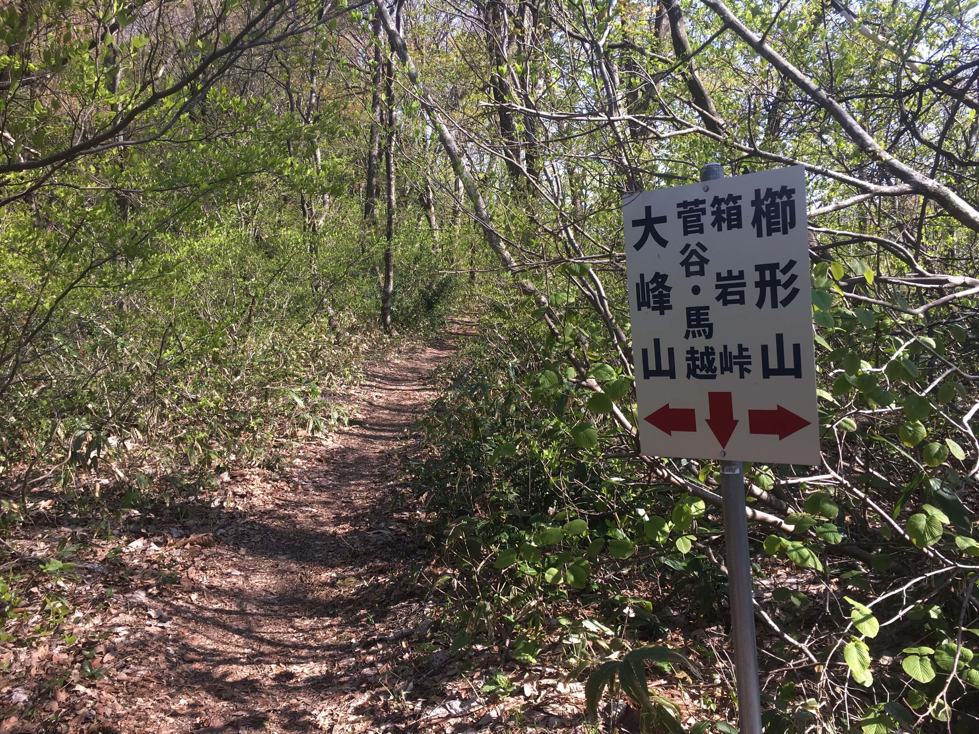 櫛形山
