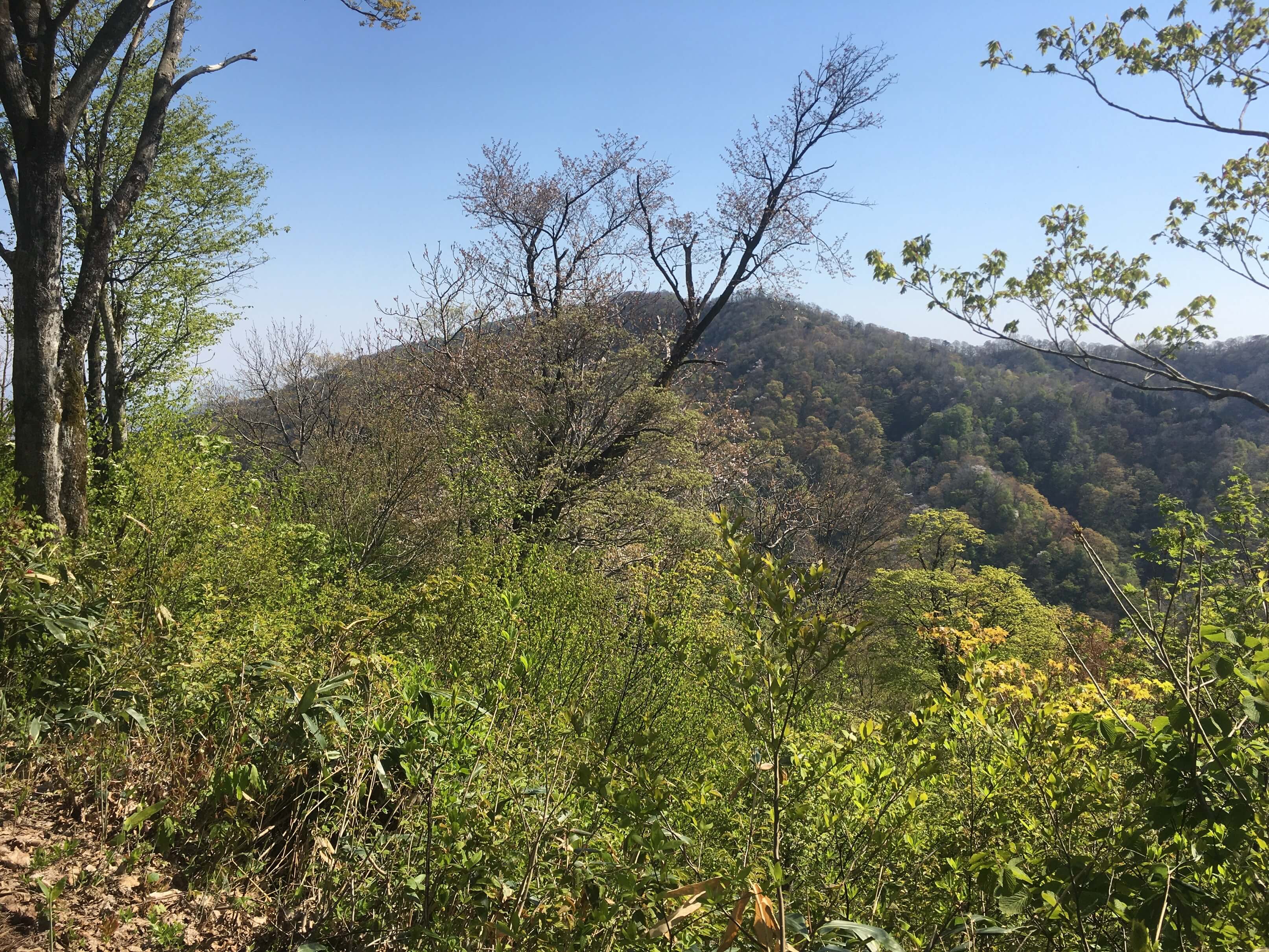 櫛形山