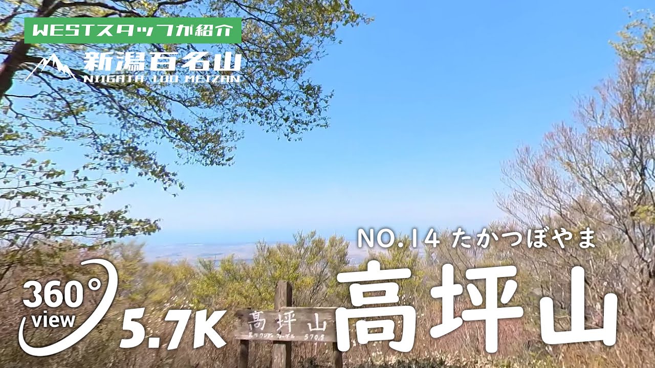 高坪山