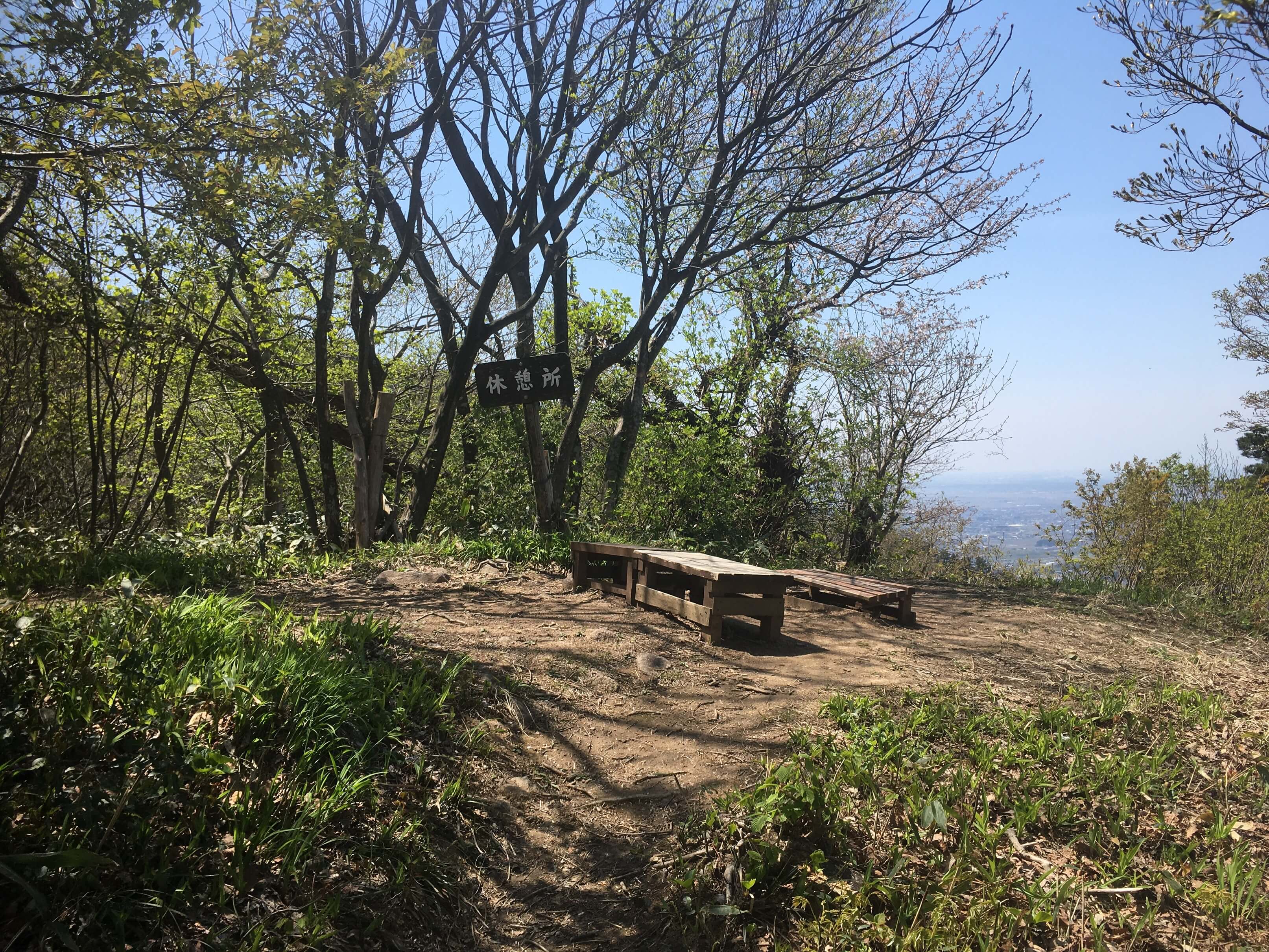 高坪山