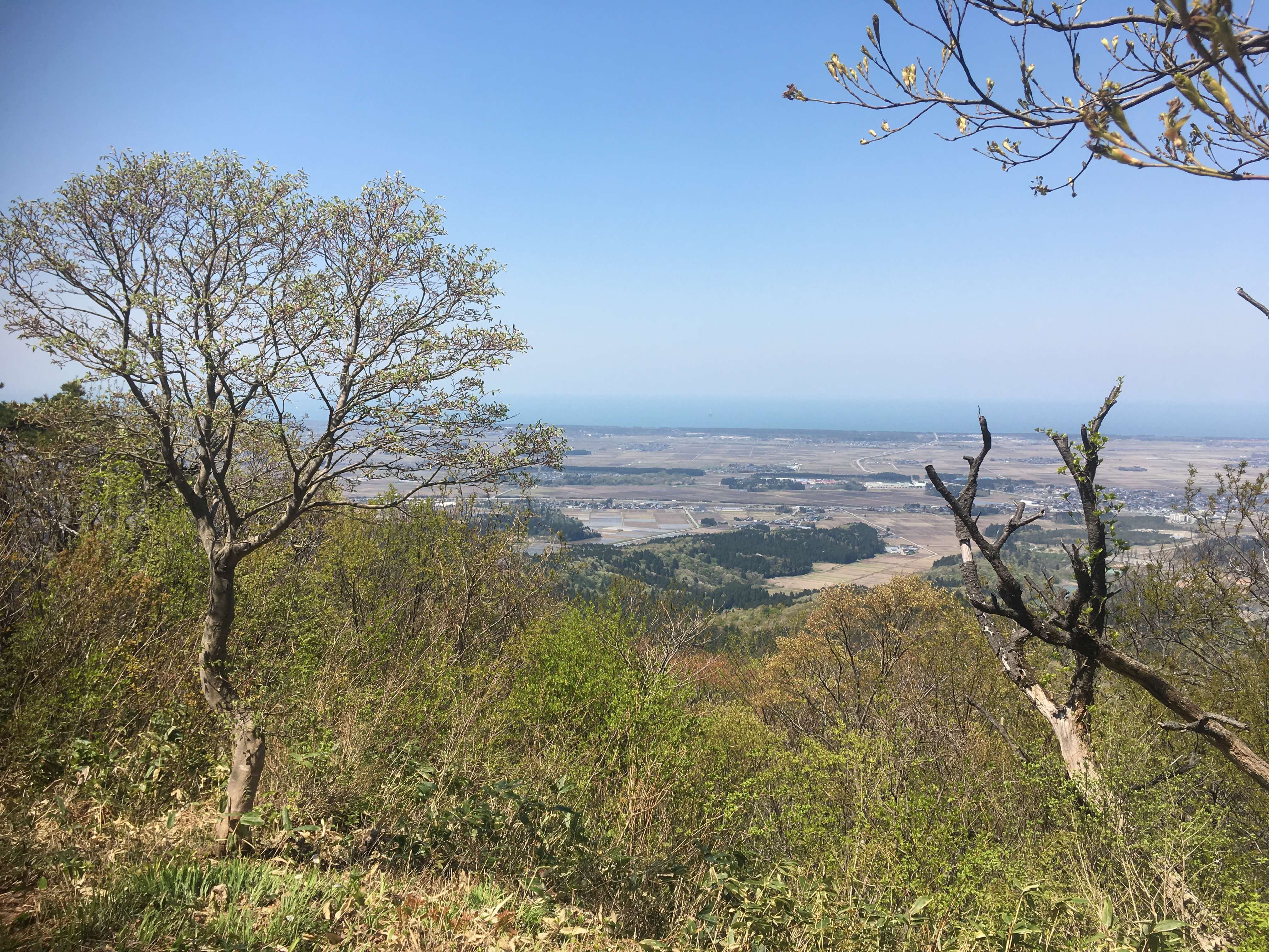 高坪山