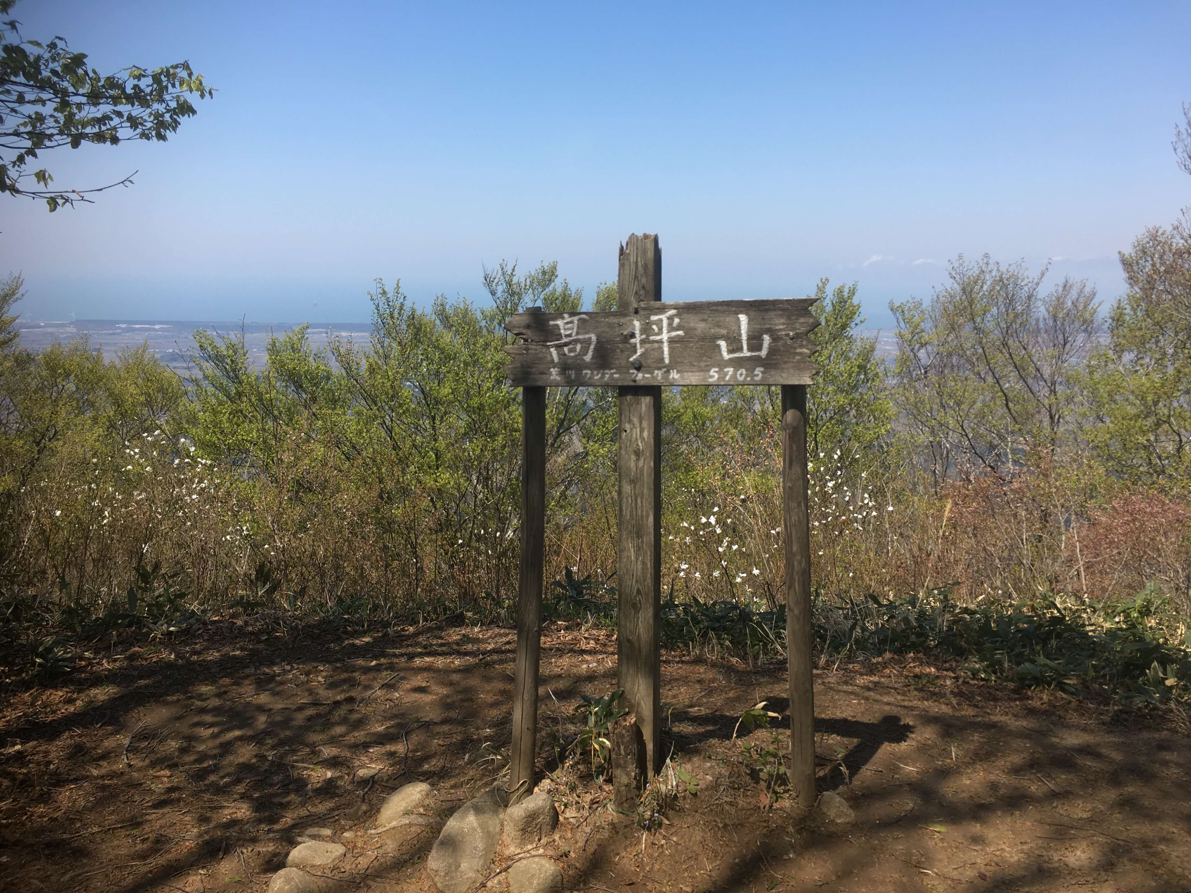 高坪山