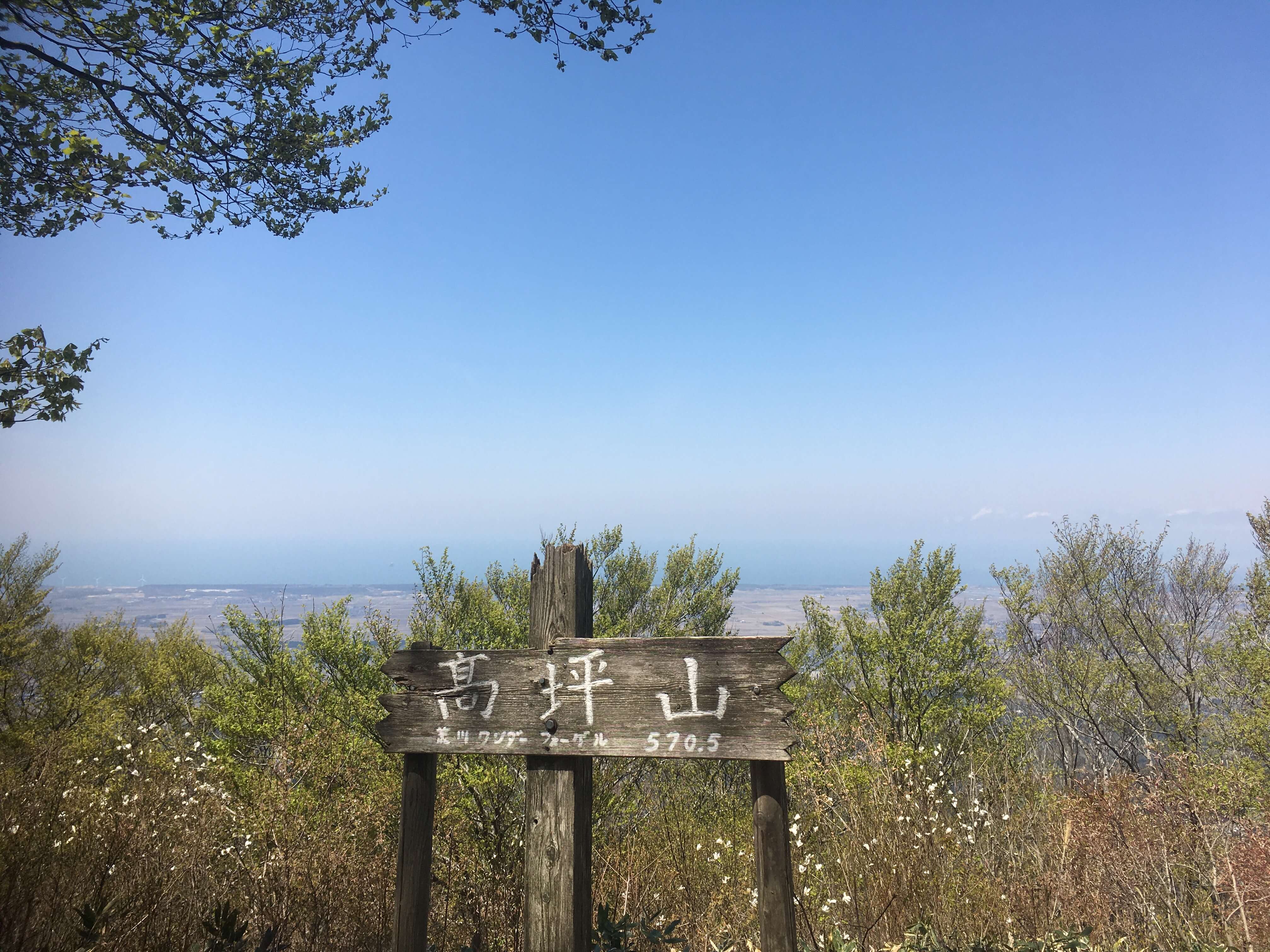 高坪山