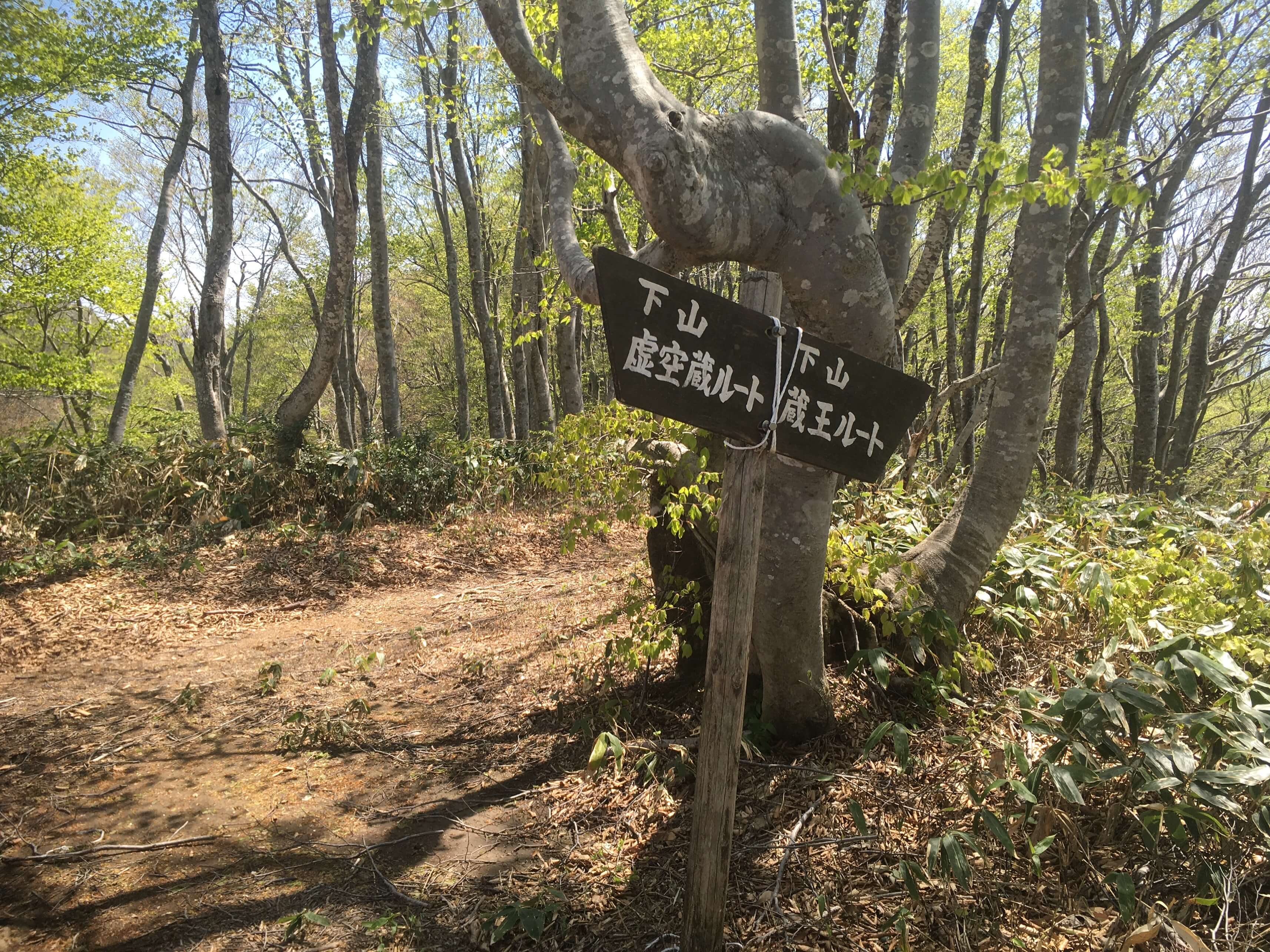 高坪山