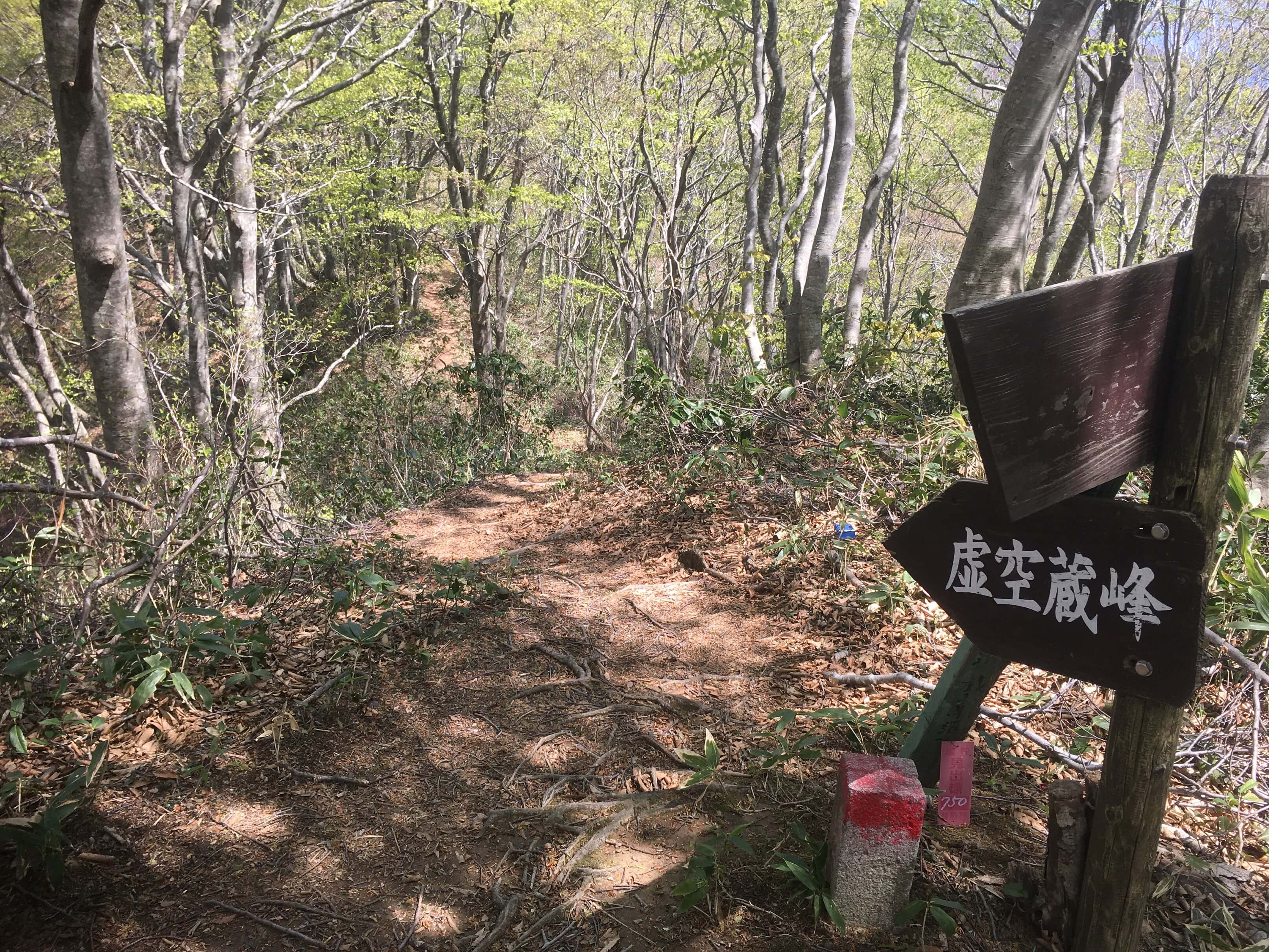 高坪山