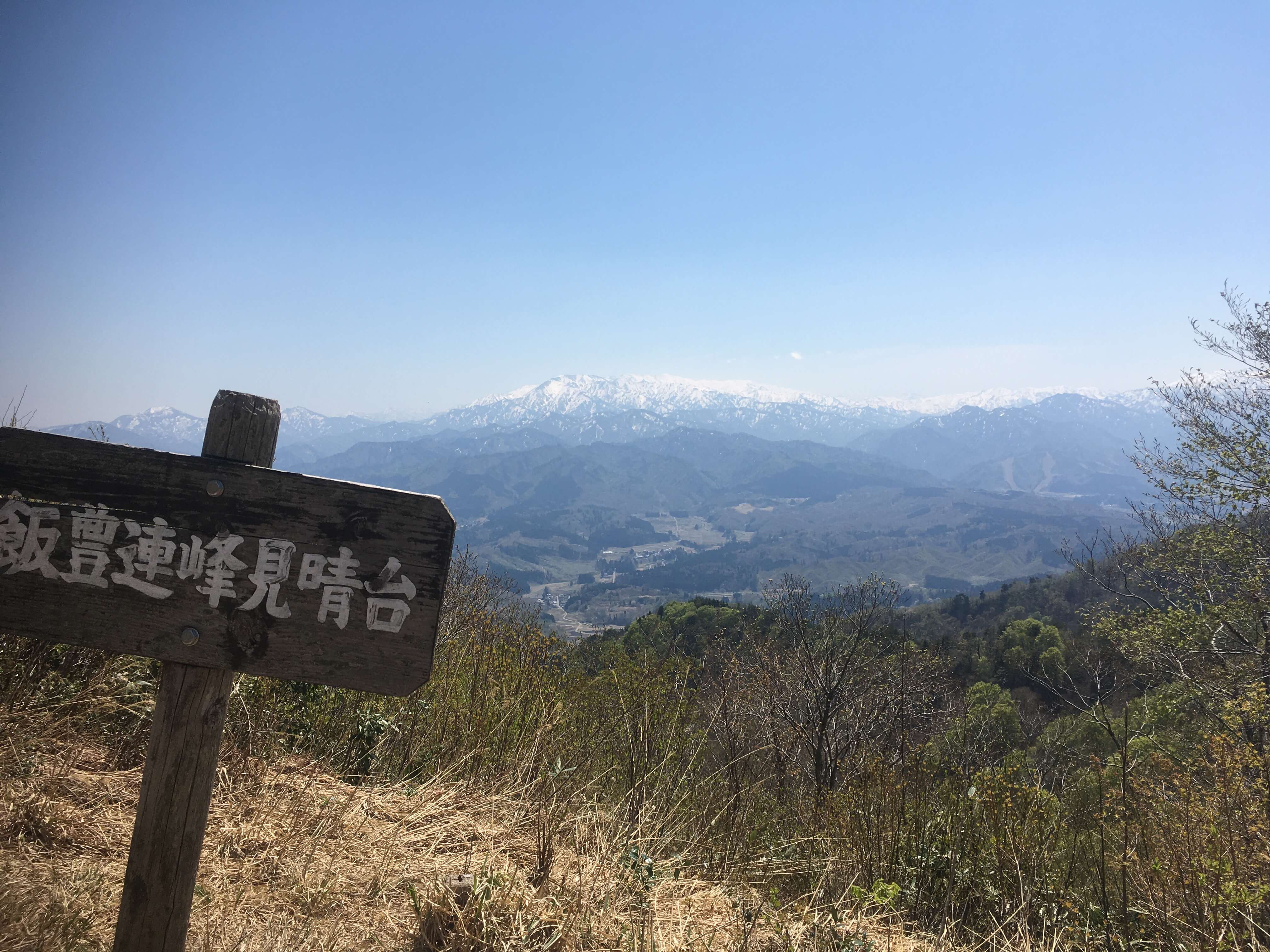 高坪山