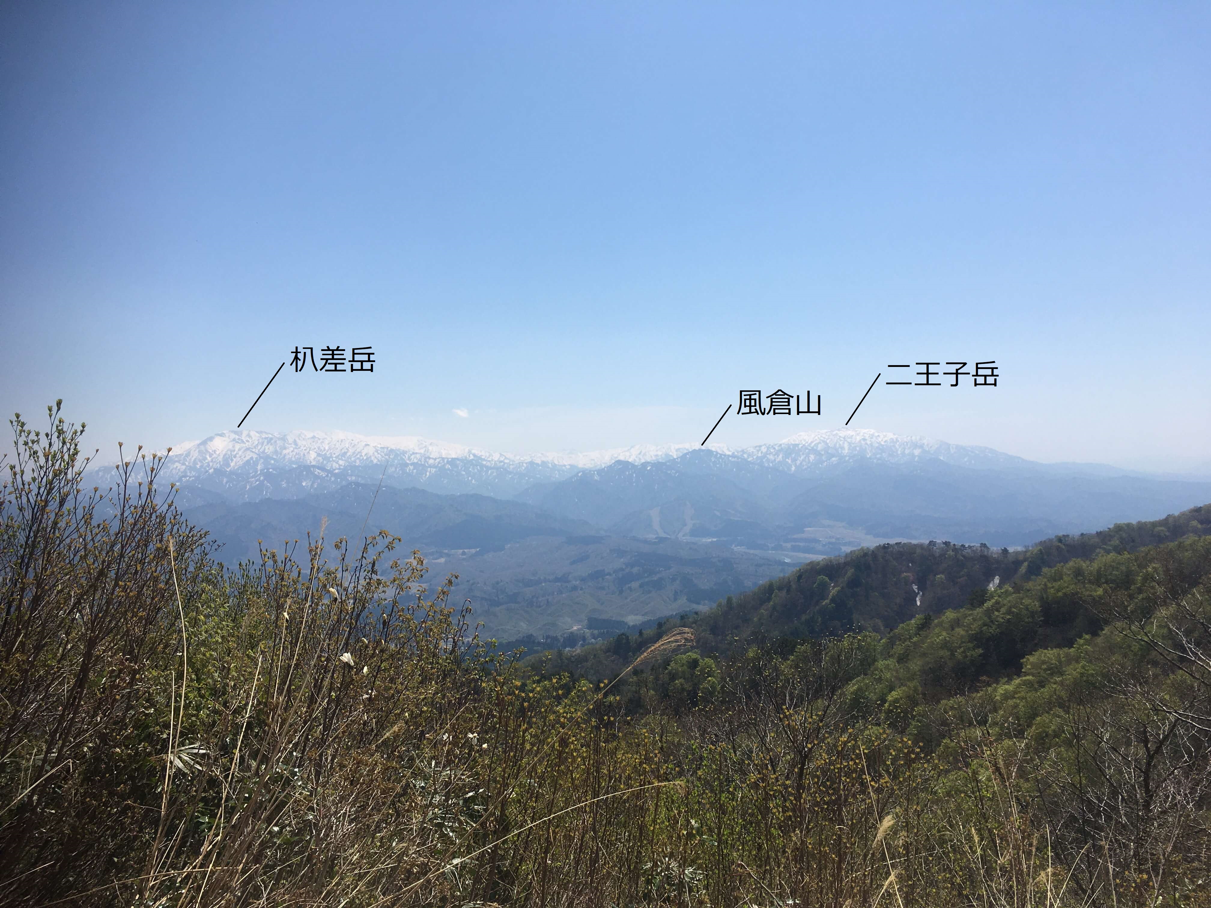 高坪山