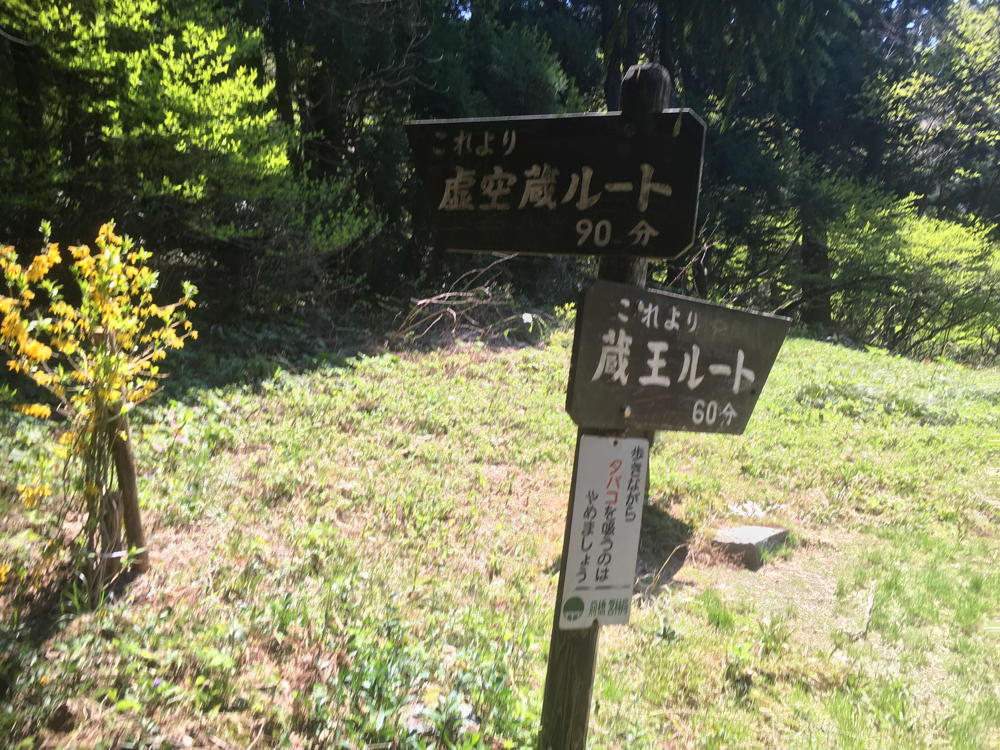 高坪山
