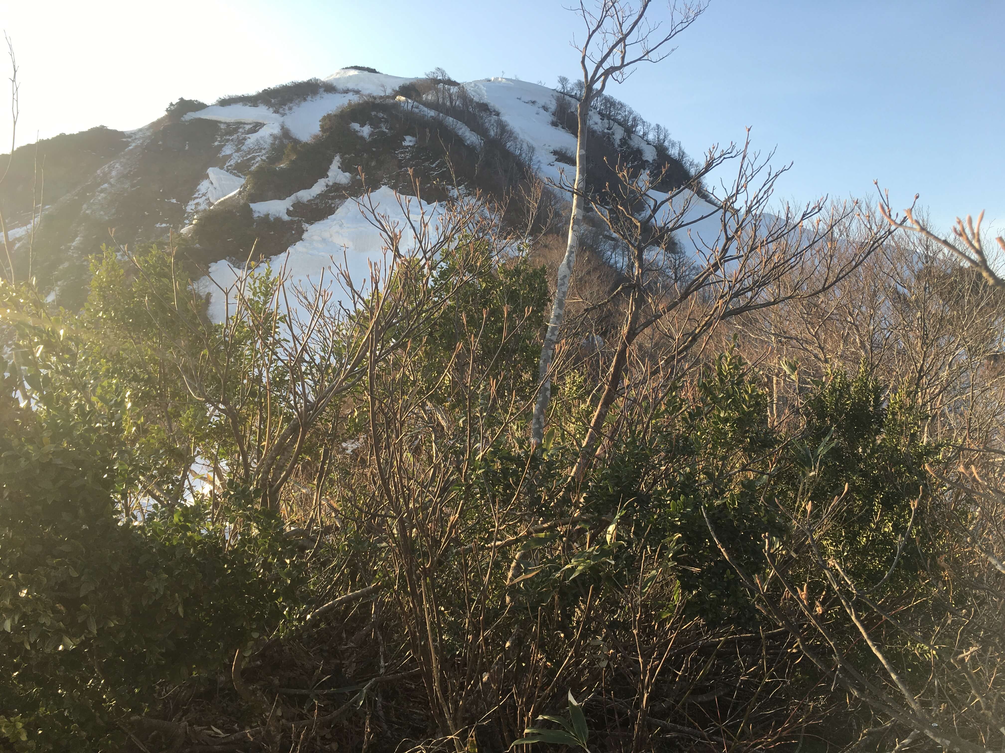 毛猛山