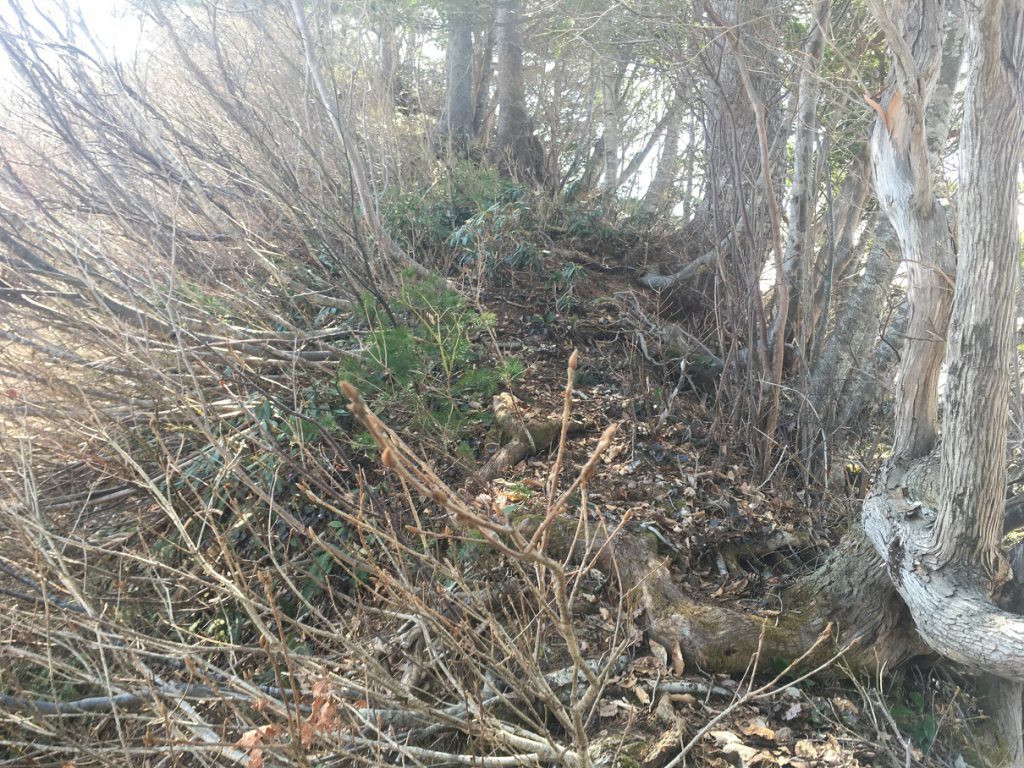 毛猛山