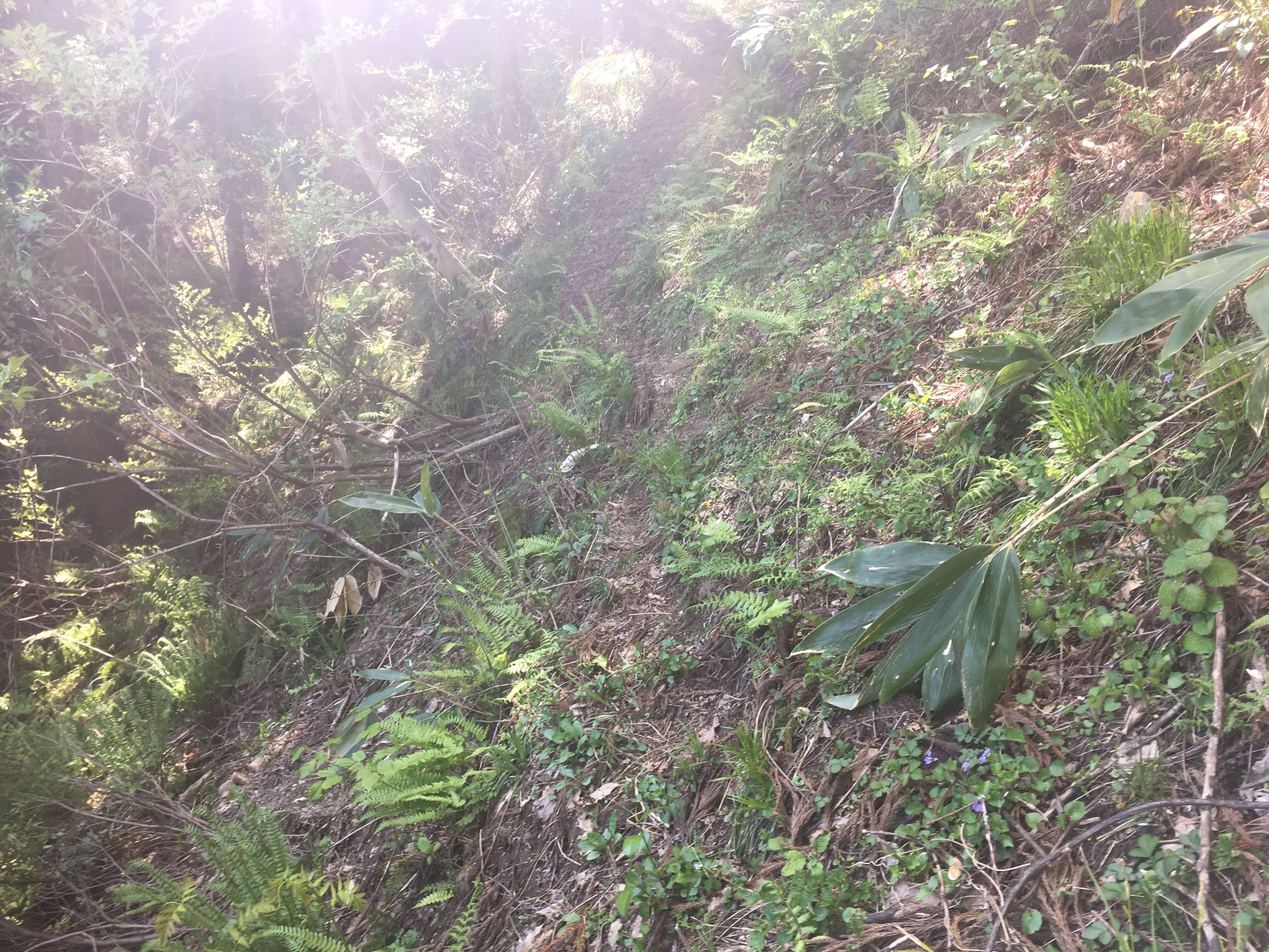 朴坂山