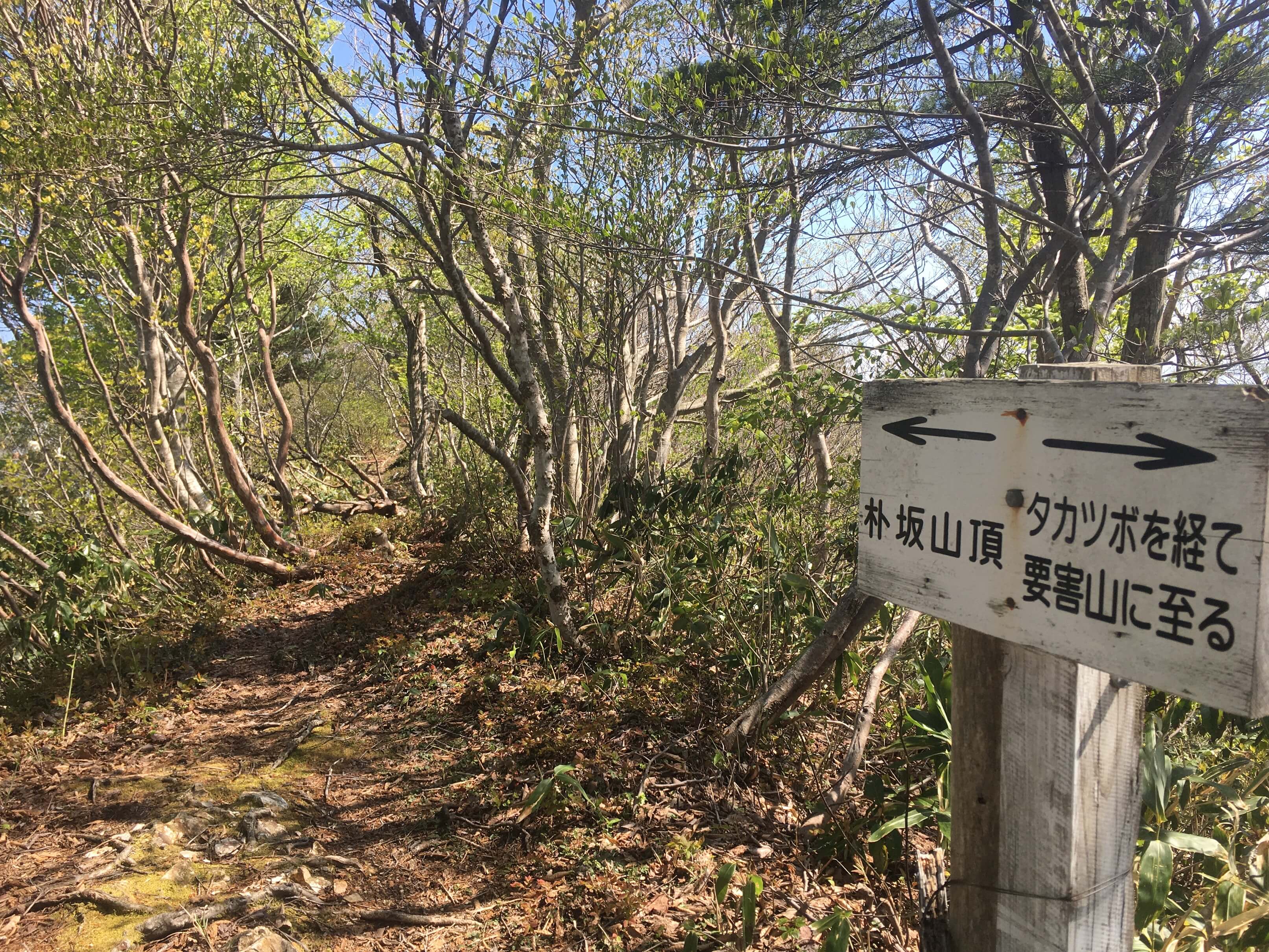 朴坂山