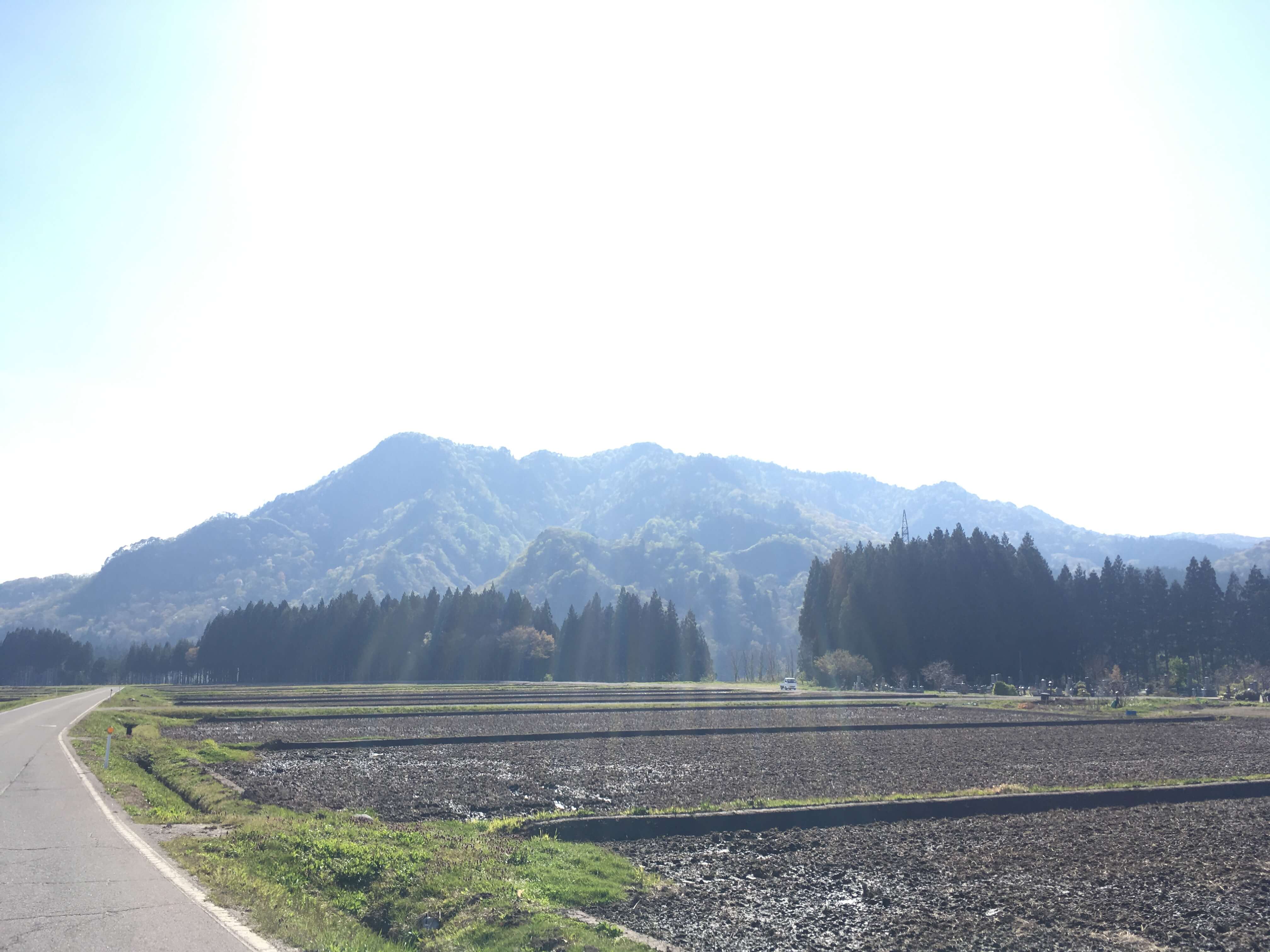 朴坂山
